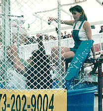 Harry gets dunked!