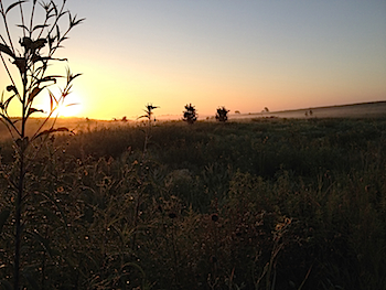 Sunrise over the Springbrook Prairie Forest Preserve