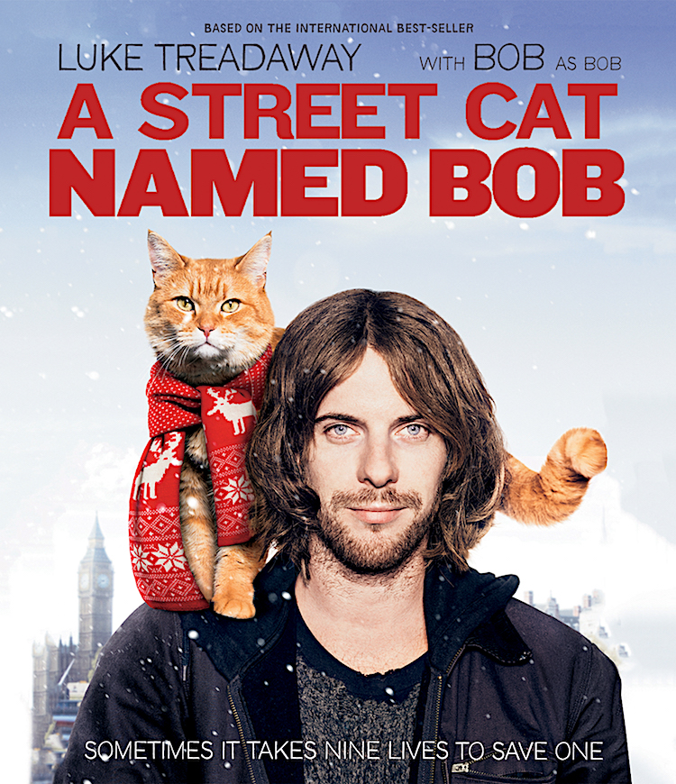 A Street Cat Named Bob out on Blu-ray